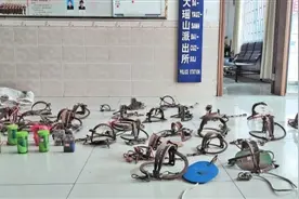 金秀男子猎杀野生动物被立案查处图片