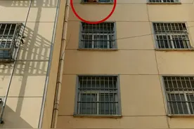 熊孩子钻窗看风景，不料头被卡住，临沂民警消防紧急施救终脱险图片