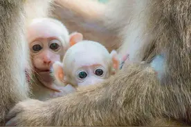 福建早知道｜5月22日图片