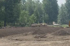 豫西鲁山县观音寺乡西桐树庄村扶贫项目有特色，利用当地资源变废为宝，解决贫困户就业难图片