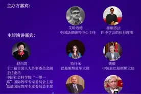 蓝迪专家赵白鸽博士：新型全球化与疫情后的中巴合作图片