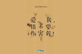 创意手绘海报：爱我，请不要伤害我图片