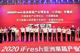 亚洲果蔬博览会在南京溧水举行 国内最大农展中心迎首秀图片