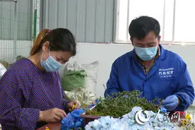 贫困户赵雪平的“假花真经”图片