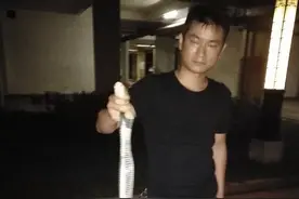 广州一小区抓到1.4米长眼镜蛇，专家称扰民蛇中放生蛇占过半图片