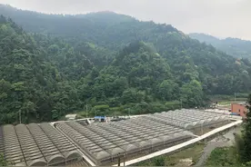 度小满携手央视财经公益直播：让网友看到一个美丽新农村图片