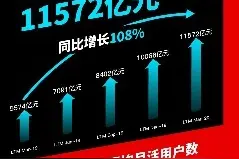 拼多多发布2020第一季度财报“5岁”拼多多开启6亿用户新时代图片