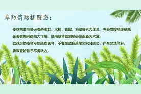 小奶猫被困窨井，小朋友奶声奶气央求消防员：你们一定要救它图片