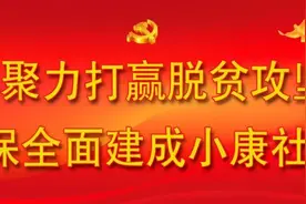 总投资24.64亿元！肃州区又有20个重大项目集中开工图片