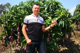 瓢虫旅播创始人吕正兴：“助农”要助力产业链改造图片