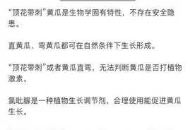 顶花带刺的黄瓜有毒？笔直黄瓜都是打药的？黄瓜到底该吃啥样的？图片