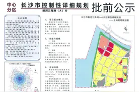 “三横三纵”路网+5所中小学！长沙新河三角洲规划公示图片