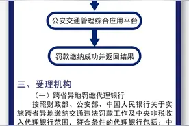 【每日一看】交通违法罚款缴纳办事流程图图片