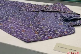 “鲁迅与徐志摩”浙江联展 陆小曼旗袍亮相图片