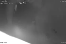 外卖小哥无证驾驶被扣急得跳脚，我送餐快超时了⋯浙江交警开警车送外卖把网友暖到了图片