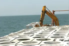 日照山海天：打造海上田园综合体 今年计划新增海洋牧场3500亩图片