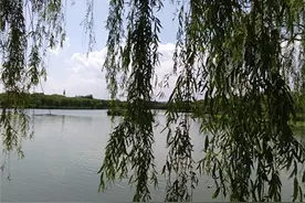 散文诗.天空晴好 阵雨妙 蓝天白云童梦谣图片