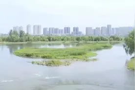 【西安新闻】保护野生动植物 保护湿地野生鸟类 营造和谐生态环境视频封面