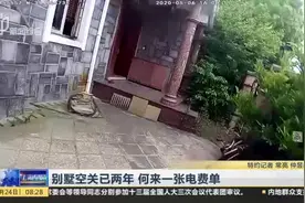 别墅空关已两年  何来一张电费单