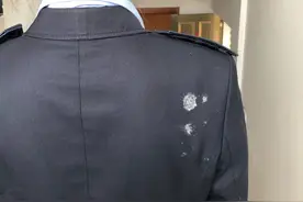 浙江这处收费站遭怪鸟“粪弹”袭击，收费员只能打伞上下班，背后原因很暖图片