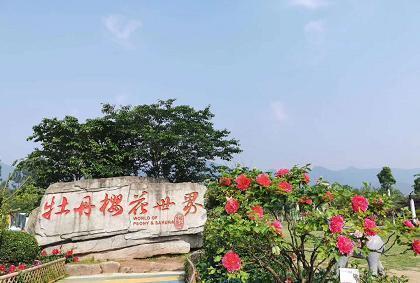 以路为纸　以地为册——重庆意境规划设计研究院乡村振兴探索
