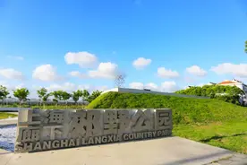又获市级荣誉，金山这里未来发展令人期待！图片