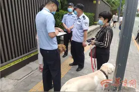 西安市民注意！犬只出户随地大便不清理 城管最高可罚200元图片