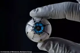 数百万人重见光明！世界首个3D人工眼球：或超越人眼图片