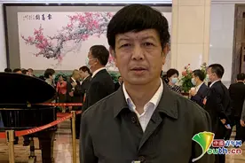全国政协委员林阳：建议将连环画列入小学图书馆采购目录图片