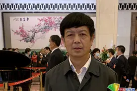 全国政协委员林阳：建议将连环画列入小学图书馆采购目录图片