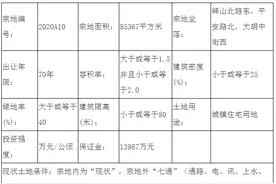 邹城挂牌出让1宗国有土地使用权，用途为城镇住宅用地图片
