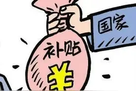 @河北人，这些资格证书可以领补贴！最高2000元！快看你符合条件吗？图片
