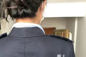 高速收费站员工忍受黑鸟“粪弹”袭击近月，幼鸟成长后挪窝图片