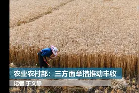 农业农村部：三方面举措推动丰收视频封面