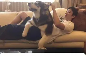 他们是电竞陪练师！疫情之下，海外留学生打工有了新选择图片