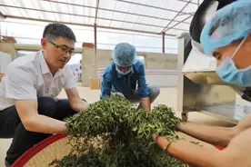 援滇心声丨王福友：在版纳的热土上续写两地情缘图片