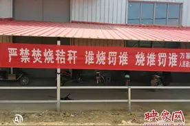 平舆县万冢镇：秸秆禁烧 宣传先行图片