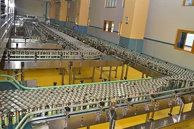 如何在中国定义一种饮料？椰树：谢邀图片