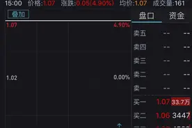 连续巨亏，账上只剩53万现金！这只“1元股”要花2.3亿搞芯片，9万股东绝境逢生？图片