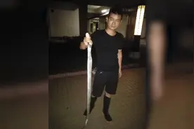 1.4米长眼镜蛇在广州一小区“遛弯”，保安捏住蛇脖子将其擒获视频封面