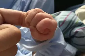 更便捷！深圳申领生育保险无需计划生育证明图片