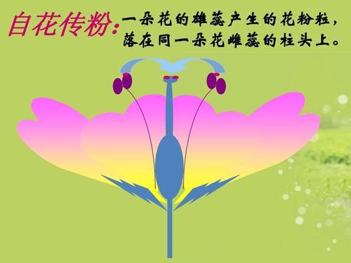 时髦老头养花说花——花的小知识