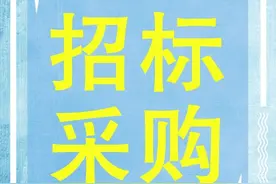 中国铁塔2GWh磷酸铁锂电池采购公示 双登、南都、智泰、鹏辉、中天预中标图片