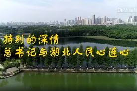 特别的深情 总书记与湖北人民心连心图片