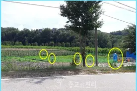 “全能神”信徒组团到韩国务农？图片