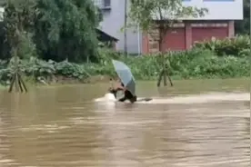 积水及腰，“淡定哥”蹚水骑行还玩着手机视频封面