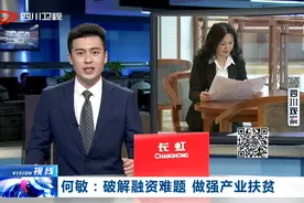 今日视点丨何敏：破解融资难题 做强产业扶贫图片