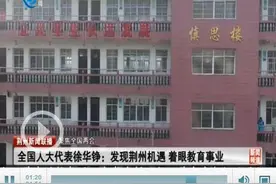 全国人大代表徐华铮：发现荆州机遇 着眼教育事业图片