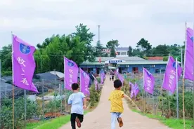 果子熟了！去湖北这些采摘地，尝一口初夏的味道！图片