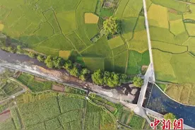 定了！江西15个县区每年可获奖补，最高500万元图片